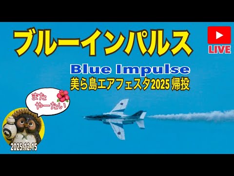 美ら島エアフェスタ2025 ブルーインパルス帰投ライブ2025.12.15【山口かおり】 のサムネイル｜ちんあなごチャンネル